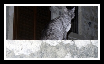 [Click to enlarge image]